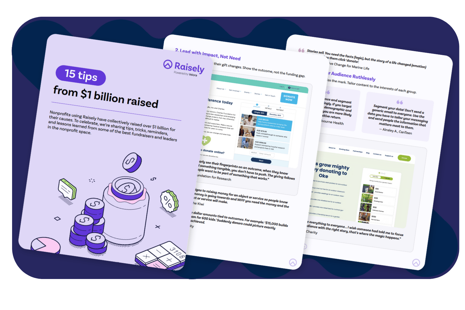 raiseley asset1